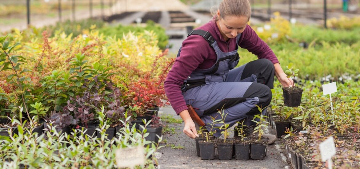 3-L'importance de la diversité végétale dans les jardins urbains