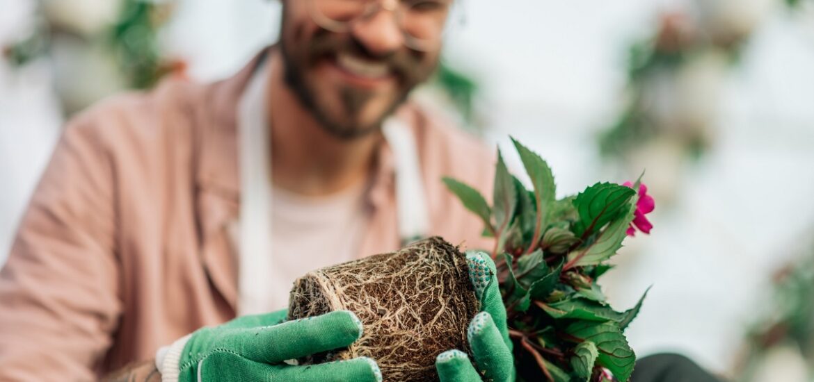 3-Maximiser la biodiversité dans votre jardin