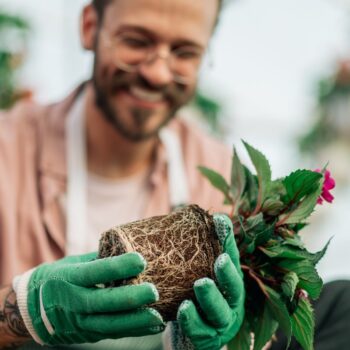 3-Maximiser la biodiversité dans votre jardin