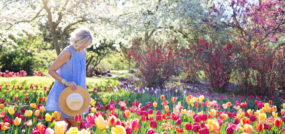 jardin de fleur