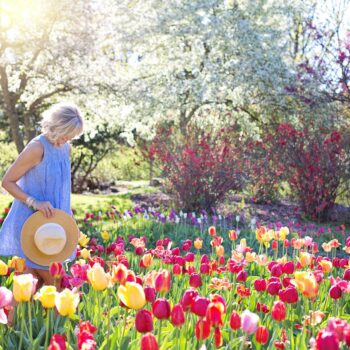 jardin de fleur