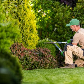 Comment choisir une bonne entreprise pour l'entretien de jardins : Guide pratique