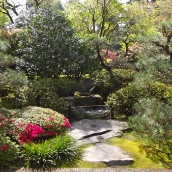 jardin japonais