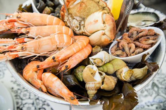 Recettes faciles et délicieuses à base de crevettes