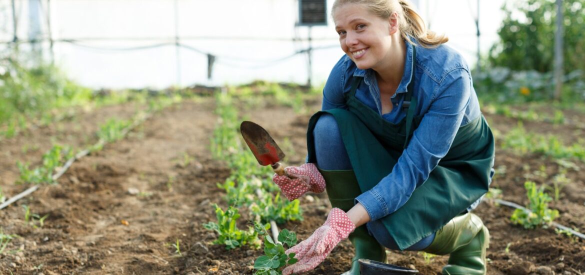 2-Agriculture biologique