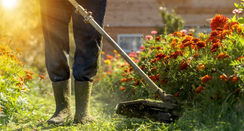 Entretien de jardin